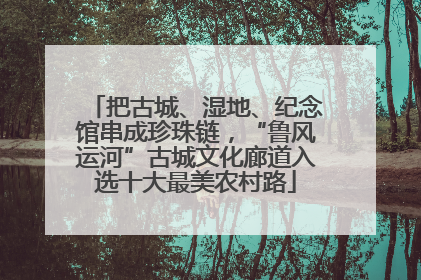 把古城、湿地、纪念馆串成珍珠链，“鲁风运河”古城文化廊道入选十大最美农村路