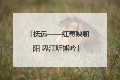 抚远——红莓映朝阳 界江听熊吟