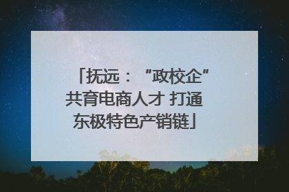 抚远：“政校企”共育电商人才 打通东极特色产销链