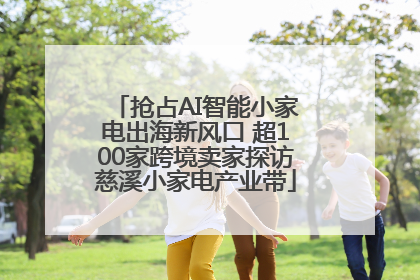 抢占AI智能小家电出海新风口 超100家跨境卖家探访慈溪小家电产业带