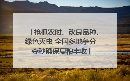 抢抓农时、改良品种、绿色灭虫 全国多地争分夺秒确保夏粮丰收
