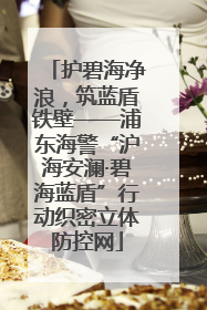 护碧海净浪，筑蓝盾铁壁——浦东海警“沪海安澜·碧海蓝盾”行动织密立体防控网