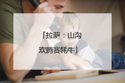拉萨：山沟欢腾赛牦牛