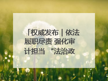 权威发布｜依法履职尽责 强化审计担当 “法治政府建设”主题系列新闻发布会市审计局专场召开