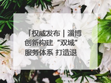 权威发布｜淄博创新构建“双域”服务体系 打造退役军人服务保障“淄博样板”