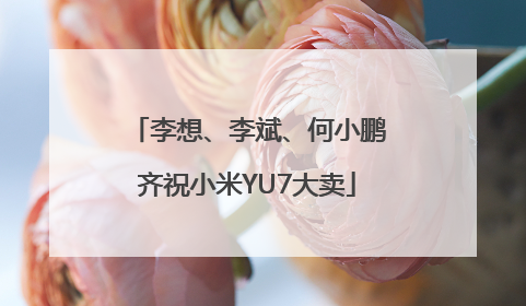 李想、李斌、何小鹏齐祝小米YU7大卖