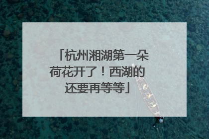 杭州湘湖第一朵荷花开了！西湖的还要再等等