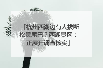 杭州西湖边有人拔断松鼠尾巴？西湖景区：正展开调查核实