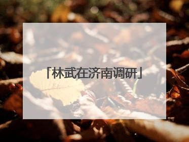 林武在济南调研