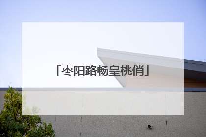 枣阳路畅皇桃俏