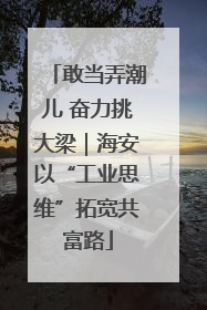 敢当弄潮儿 奋力挑大梁｜海安以“工业思维”拓宽共富路