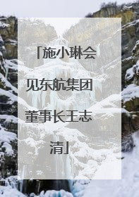 施小琳会见东航集团董事长王志清
