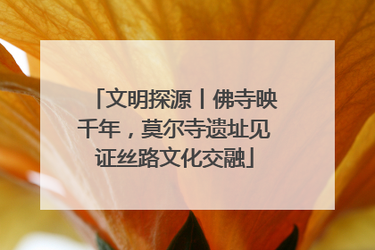 文明探源丨佛寺映千年，莫尔寺遗址见证丝路文化交融