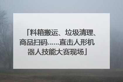 料箱搬运、垃圾清理、商品扫码……直击人形机器人技能大赛现场
