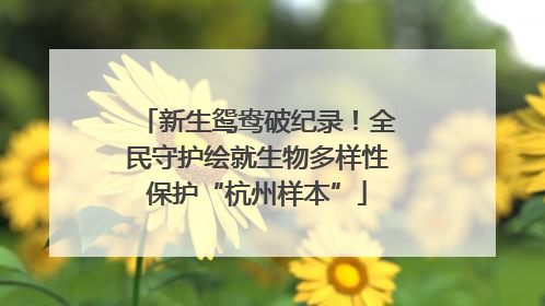 新生鸳鸯破纪录！全民守护绘就生物多样性保护“杭州样本”
