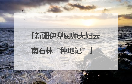 新疆伊犁厨师夫妇云南石林“种地记”