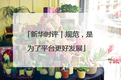 新华时评｜规范，是为了平台更好发展