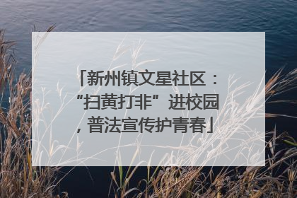 新州镇文星社区：“扫黄打非”进校园，普法宣传护青春