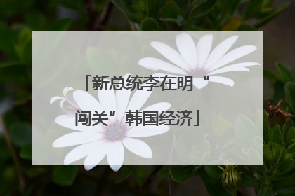 新总统李在明“闯关”韩国经济