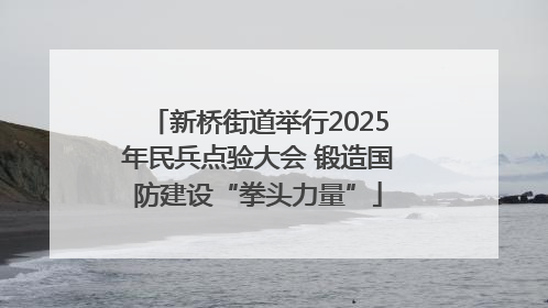 新桥街道举行2025年民兵点验大会 锻造国防建设“拳头力量”