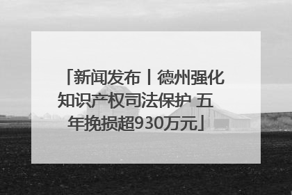 新闻发布丨德州强化知识产权司法保护 五年挽损超930万元