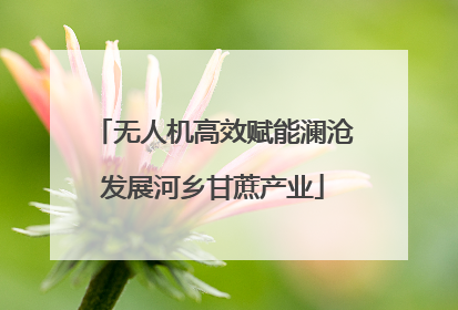 无人机高效赋能澜沧发展河乡甘蔗产业