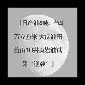 日产油8吨、气3万立方米 大庆油田营页1H井页岩油试采“逆袭”