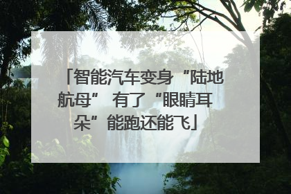 智能汽车变身“陆地航母” 有了“眼睛耳朵”能跑还能飞