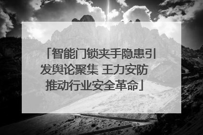 智能门锁夹手隐患引发舆论聚集 王力安防推动行业安全革命
