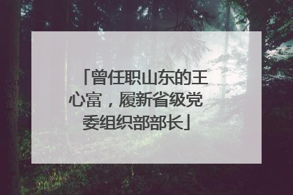 曾任职山东的王心富，履新省级党委组织部部长