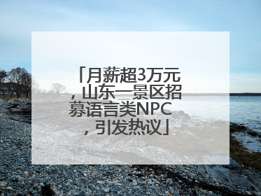 月薪超3万元，山东一景区招募语言类NPC，引发热议