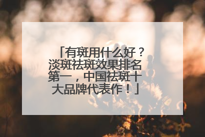 有斑用什么好？淡斑祛斑效果排名第一，中国祛斑十大品牌代表作！