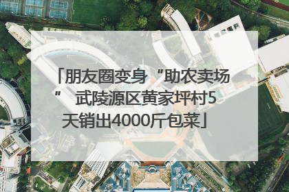 朋友圈变身“助农卖场” 武陵源区黄家坪村5天销出4000斤包菜