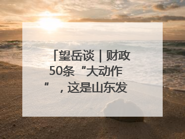 望岳谈｜财政50条“大动作”，这是山东发展民企的决心