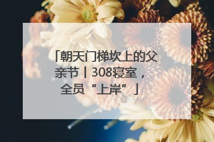 朝天门梯坎上的父亲节丨308寝室，全员“上岸”
