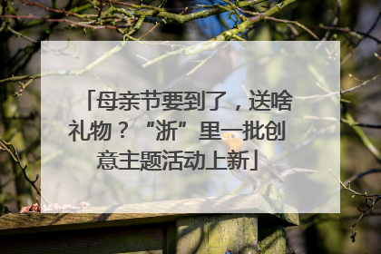 母亲节要到了，送啥礼物？“浙”里一批创意主题活动上新