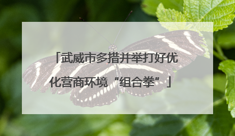 武威市多措并举打好优化营商环境“组合拳”