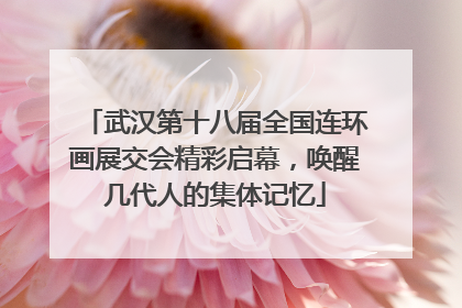武汉第十八届全国连环画展交会精彩启幕，唤醒几代人的集体记忆