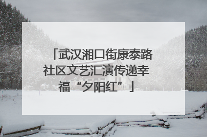 武汉湘口街康泰路社区文艺汇演传递幸福“夕阳红”