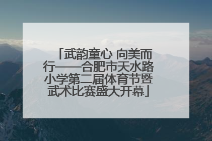 武韵童心 向美而行——合肥市天水路小学第二届体育节暨武术比赛盛大开幕
