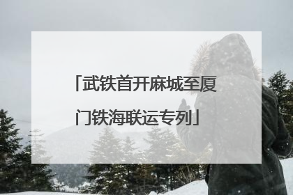 武铁首开麻城至厦门铁海联运专列