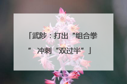 武陟：打出“组合拳” 冲刺“双过半”