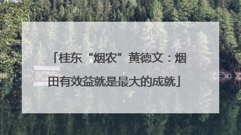 桂东“烟农”黄德文：烟田有效益就是最大的成就