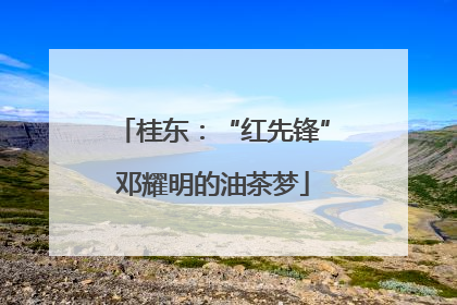 桂东：“红先锋”邓耀明的油茶梦