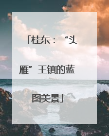 桂东：“头雁”王镇的蓝图美景