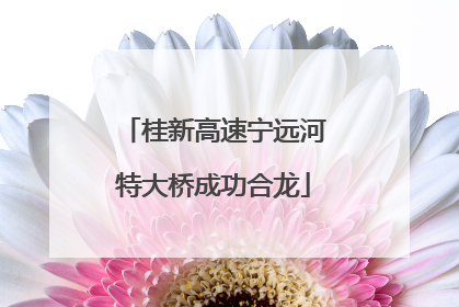 桂新高速宁远河特大桥成功合龙