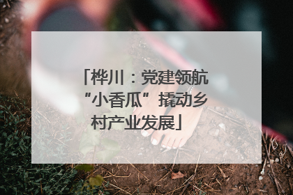 桦川：党建领航“小香瓜”撬动乡村产业发展