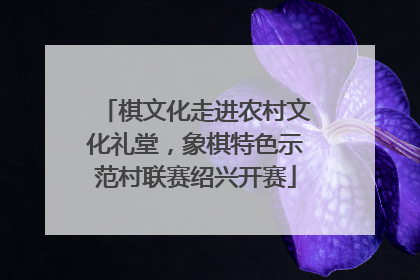 棋文化走进农村文化礼堂，象棋特色示范村联赛绍兴开赛