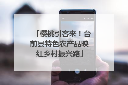 樱桃引客来！台前县特色农产品映红乡村振兴路