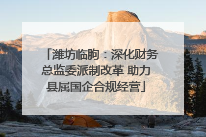 潍坊临朐：深化财务总监委派制改革 助力县属国企合规经营